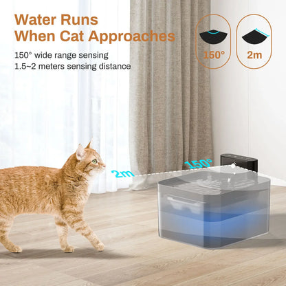 JordyFlow™- La fontana intelligente che invita il tuo gatto a bere di più.