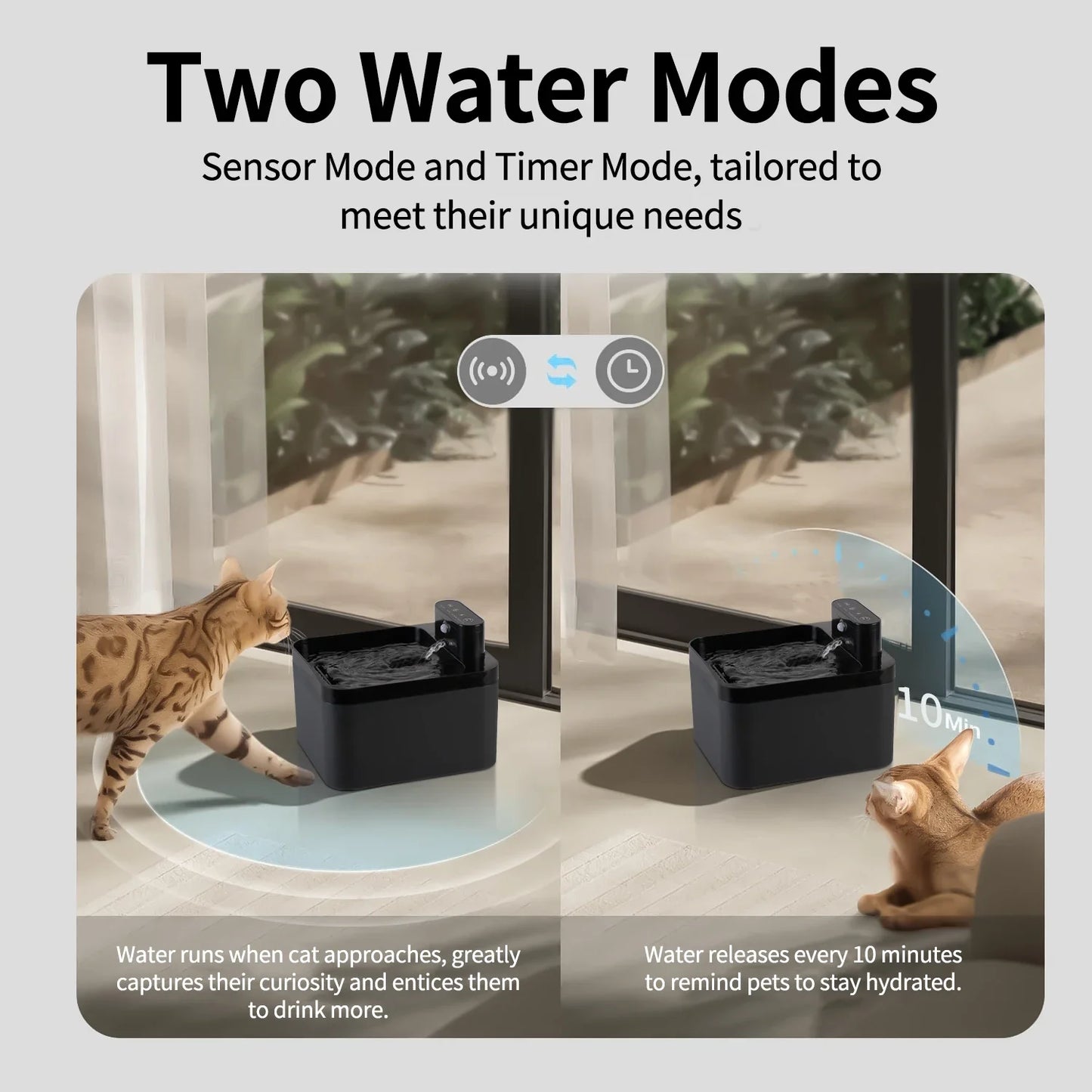 JordyFlow™- La fontana intelligente che invita il tuo gatto a bere di più.