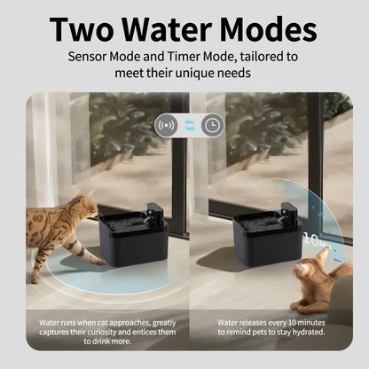 JordyFlow™- La fontana intelligente che invita il tuo gatto a bere di più.